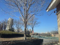 -绿岛公园(滨海新区)