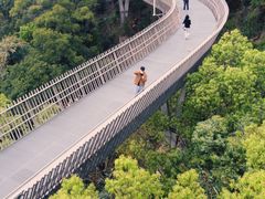 -福道