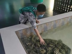 -常州海昌海洋探索馆