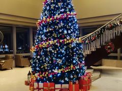 -上海明天广场JW万豪酒店