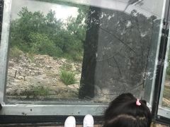 -溪口-滕头旅游景区