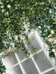 -米克儿童美学摄影馆(金山花园南区店)