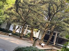 -杭州植物园