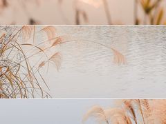 -重庆彩云湖湿地公园