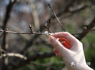 婚期准备记 梵誓玫瑰喷泉钻戒