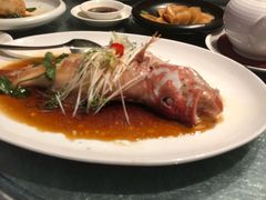 -金悦轩海鲜酒家(银河店)