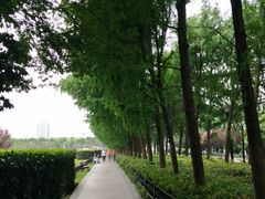 -辛亥革命博物院北区