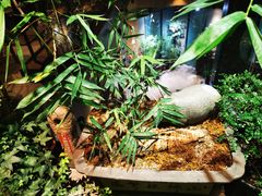 -川旺角川粤融合菜•海景餐厅(星海广场店)