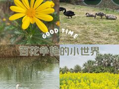 -瑶湖郊野森林公园