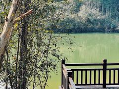 -潜山国家森林公园