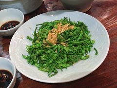 夜兰花-Ngoc Chau Garden