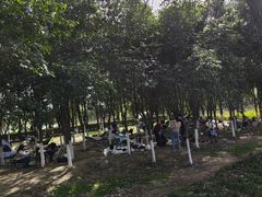 -西安汉城湖景区