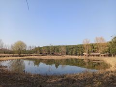 -同里国家湿地公园