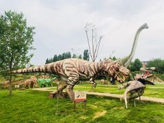 -西部长青自然儿童乐园