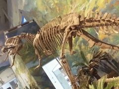 -自贡恐龙博物馆
