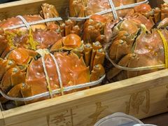 -黄记大闸蟹专卖店·活蟹·醉蟹