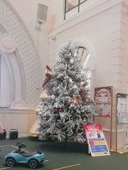 -奈尔宝·儿童乐园·亲子餐厅(华采天地店)