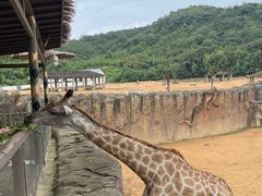 -杭州野生动物世界