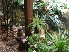 -聚缘堂·海鲜私房菜(松岭路店)