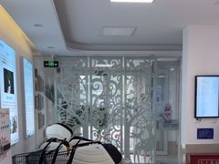 -北京观赏动物医院·24小时大型综合·猫专科·异宠专科