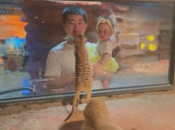 -酷嗒动物文化乐园(cutezoo西溪乐天城店)