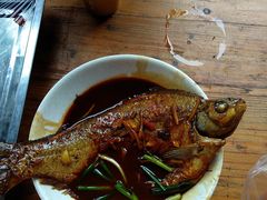 -前小桔亲子创意农场·草莓采摘·露营烧烤