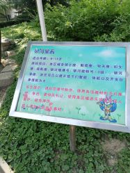-酷酷兔少儿拓展天地