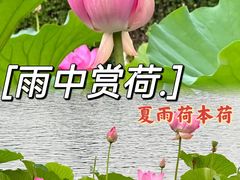 -什刹海