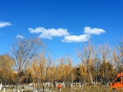 -永定河休闲森林公园