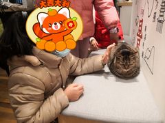 -猫的天空之城概念书店(杭州南宋御街店)