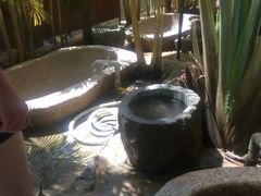 -100蛋泥浆浴