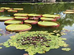 -国家植物园南园