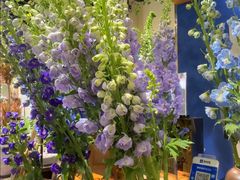 -弗劳尔花艺坊(龙涛店)