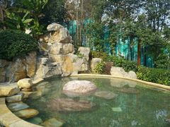 android_upload_pic-天目湖涵田半山温泉水乐园