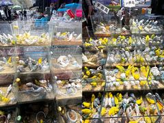 -青石桥花鸟鱼虫市场(叠翠城店)