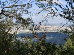 -紫金山山顶公园