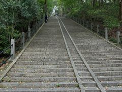 -上海佘山国家森林公园西佘山园