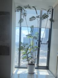 -HYOUNG 禾漾·BTL官方美学中心