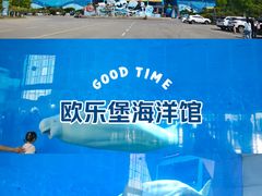 -泉城欧乐堡海洋极地世界