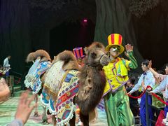-广州长隆国际大马戏