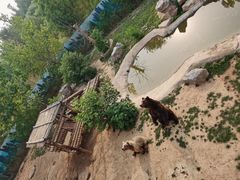 -济南野生动物世界