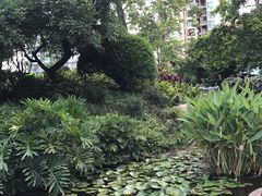 -晓港公园