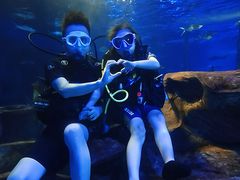 -太平洋海底世界