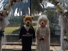 泰迪熊博物馆-济州岛泰迪熊博物馆