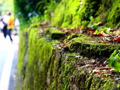 -莫干山风景区