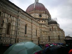 -圣母百花大教堂穹顶