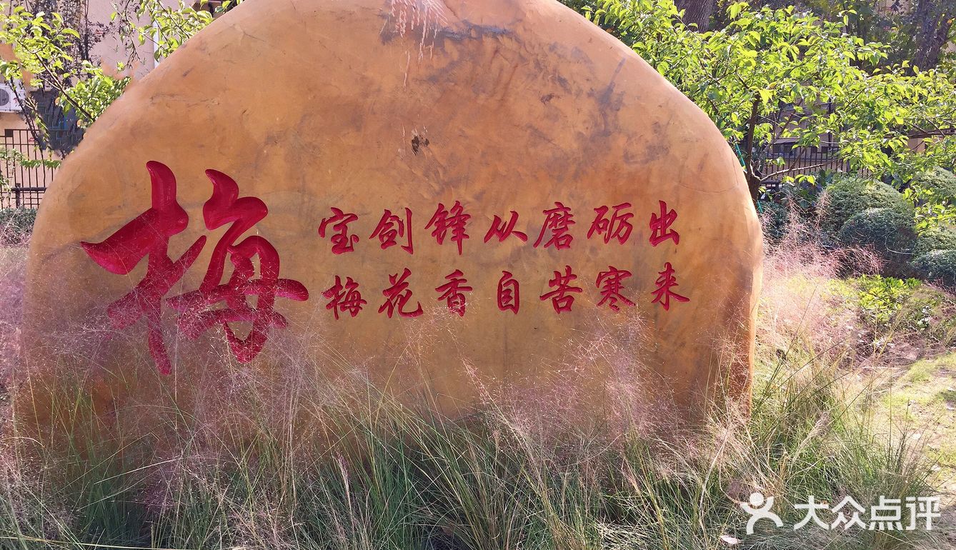 梅兰竹菊诗情画意——清风园（菊花盛开中）