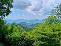 -莫干山风景区