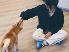 -浣熊柯尔鸭土拨鼠·电玩咖