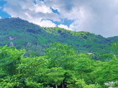 -海南槟榔谷黎苗文化旅游区